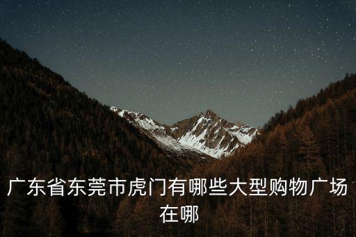 廣東省東莞市虎門有哪些大型購物廣場 在哪