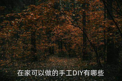 在家可以做的手工DIY有哪些