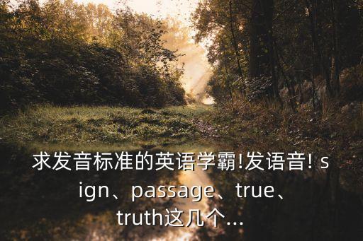 sign怎么讀,投票日的來臨