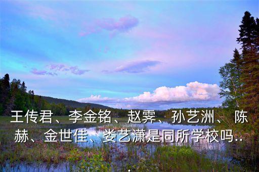 陳赫資料,因《愛情公寓》一炮而紅陳赫被指演得像許小賢