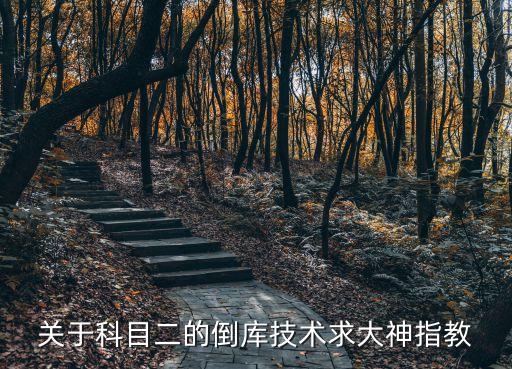 科目二倒庫(kù)，關(guān)于科目二的倒庫(kù)技術(shù)求大神指教