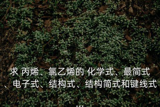 求 丙烯、氯乙烯的 化學(xué)式、最簡式、電子式、結(jié)構(gòu)式、結(jié)構(gòu)簡式和鍵線式...