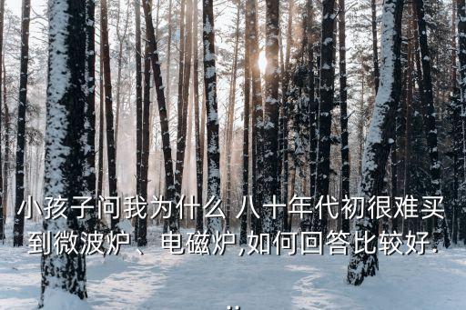 小孩子問(wèn)我為什么 八十年代初很難買(mǎi)到微波爐、電磁爐,如何回答比較好...