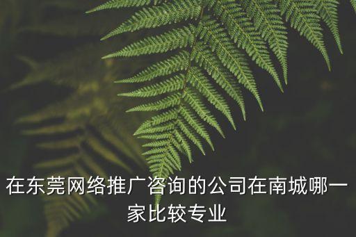 在東莞網絡推廣咨詢的公司在南城哪一家比較專業