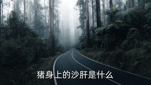 豬身上的沙肝是什么