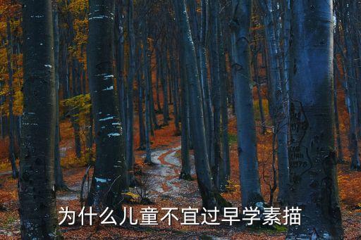為什么兒童不宜過早學素描