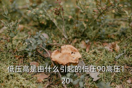 低壓高是由什么引起的低壓90高壓120