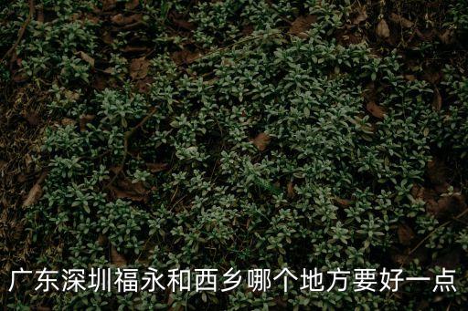 東莞福永西鄉(xiāng)，東莞西鄉(xiāng)在哪里