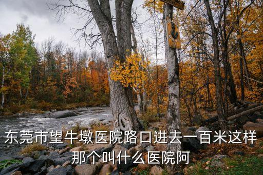東莞望牛墩最好的骨科，東莞那間骨科醫(yī)院好