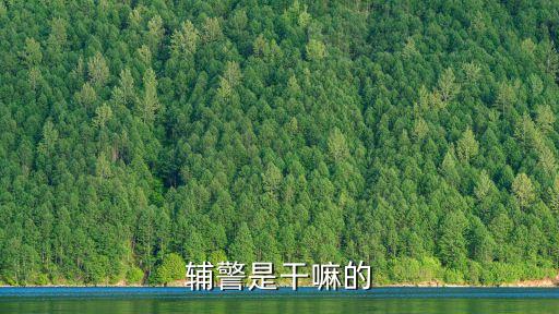 輔警工作內(nèi)容，協(xié)警主要工作干什么