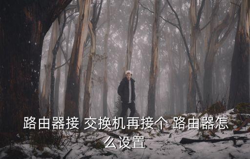  路由器接 交換機再接個 路由器怎么設置