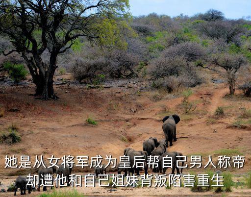 重生之渣夫狠妻，有什么好看的破鏡重圓小說