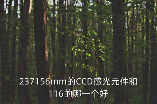 東莞ccd高精度尺寸測(cè)量系統(tǒng)，237156mm的CCD感光元件和116的哪一個(gè)好
