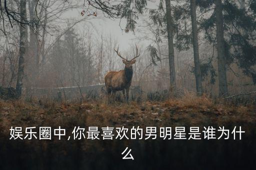 娛樂(lè)圈中,你最喜歡的男明星是誰(shuí)為什么