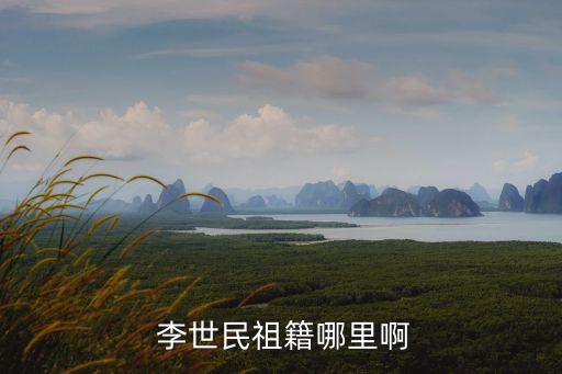 李世民是哪里人,李世民的漢族血脈