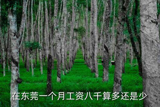 東莞一個月掙8000算什么水平，月薪8000在什么水平