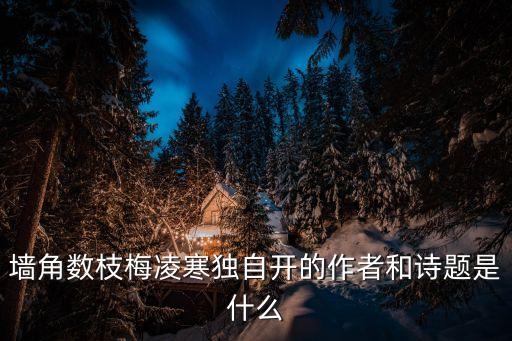 梅花獨自開，墻角數(shù)枝梅凌寒獨自開的作者和詩題是什么