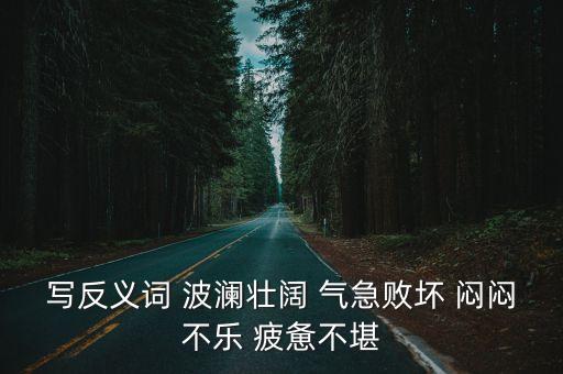 寫反義詞 波瀾壯闊 氣急敗壞 悶悶不樂 疲憊不堪