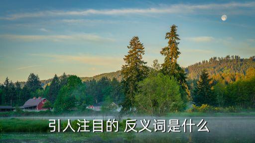 引人注目的反義詞,引人注目:有目共睹有目混淆