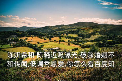 陳曉照片,陳曉整容前后照曝光婚姻關系備受關注