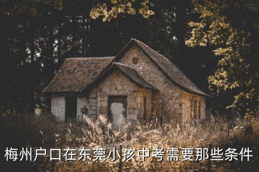 梅州戶口在東莞小孩中考需要那些條件