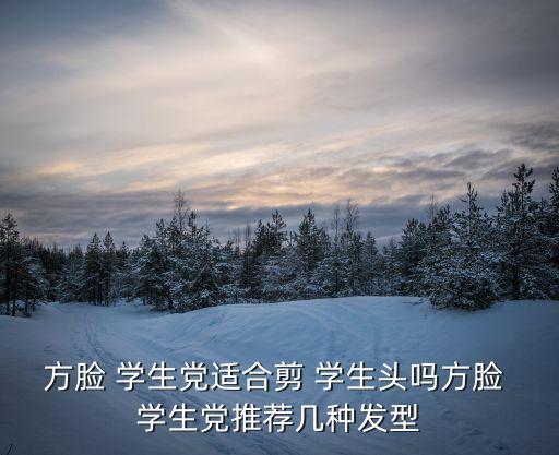 學生黨如何瘦臉,臉型不夠好看可選擇適合自己的發型