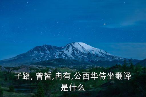 曾皙,《魯茲曾皙,尤然,龔錫華坐/坐》評論