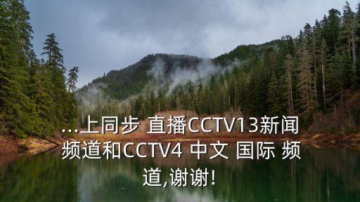 ...上同步 直播CCTV13新聞 頻道和CCTV4 中文 國際 頻道,謝謝!