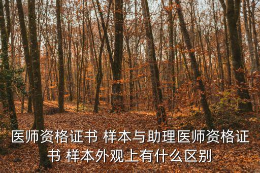 樣本封面,醫師資格證和離婚證樣本一覽