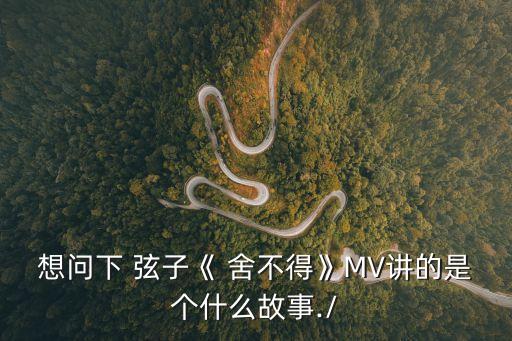 舍不得弦子,陳詩樺:即使沒有我也要讓他離開不內疚
