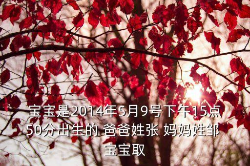 東莞有姓鄒的嗎，請問各位養(yǎng)鳥高手什么時候有畫眉鄒子賣啊
