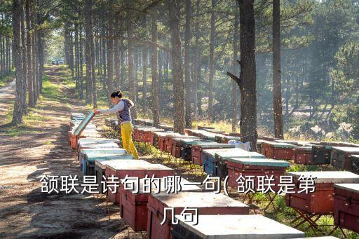 頷聯是第幾句,首聯頷聯頸聯尾聯分別對照出爐