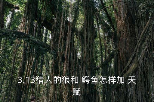 鱷魚(yú)天賦,三級(jí)狂怒鱷魚(yú)或穿防護(hù)裝備閃電攻擊