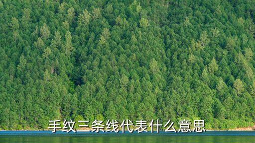 手掌上的三條線分別代表什么，手掌心的三條線代表什么