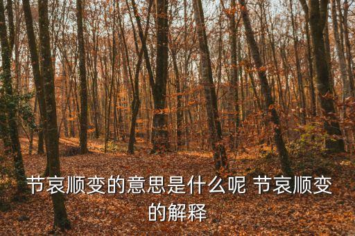  節哀順變的意思是什么呢 節哀順變的解釋