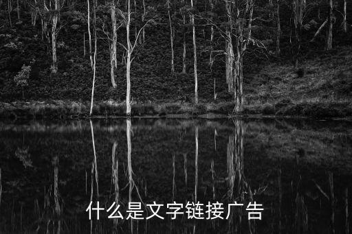 文字廣告，什么是文字鏈接廣告