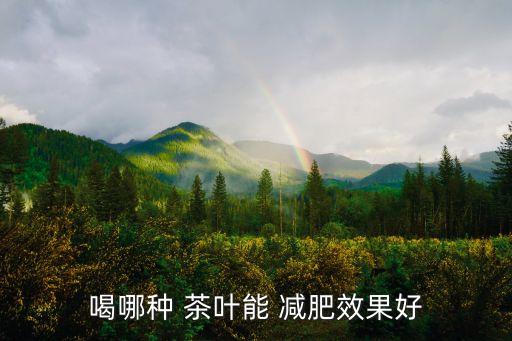 減肥茶葉,減肥茶葉市場大戰新茶不斷推出