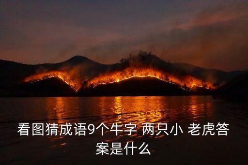 看圖猜成語9個牛字 兩只小 老虎答案是什么