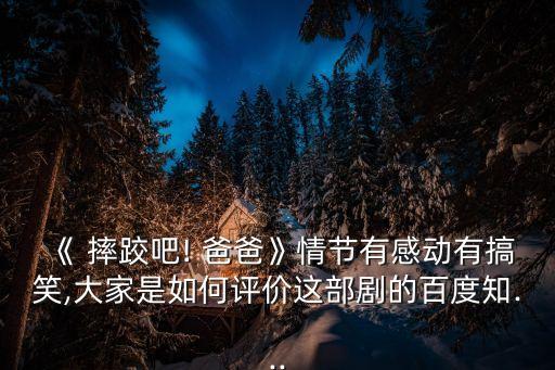 《 摔跤吧! 爸爸》情節(jié)有感動有搞笑,大家是如何評價這部劇的百度知...