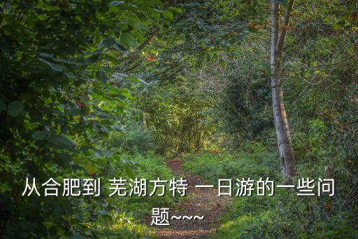 蕪湖一日游,從蕪湖到宏村一日行程有哪些?
