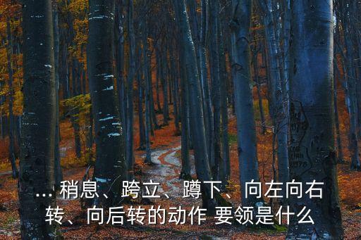 立正稍息動作要領