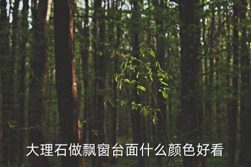 大理石做飄窗臺面什么顏色好看