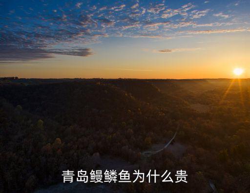 青島鰻鱗魚為什么貴