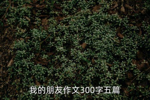 我的朋友作文300字五篇