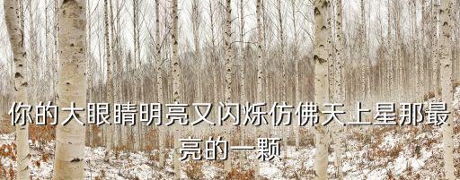 你就像那冬天里的一把火，一個大空隆明亮又閃爍是哪首歌的歌詞