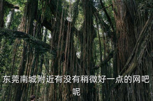 東莞南城附近有沒有稍微好一點的網吧呢
