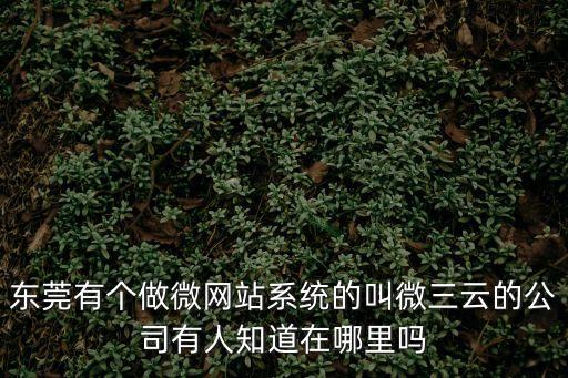 東莞有個做微網站系統的叫微三云的公司有人知道在哪里嗎