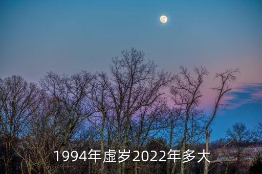 1994年多大,新加坡人畢業于1994年