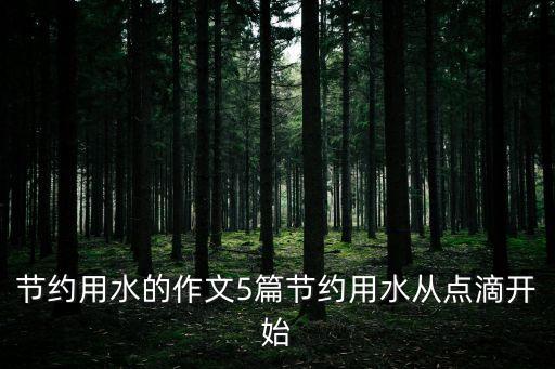 關于節約用水的作文，節約用水作文800字