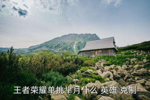 王者榮耀單挑羋月什么 英雄 克制